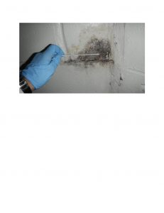 Mold Swab Test on Wall