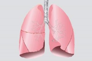 Lung Drawing